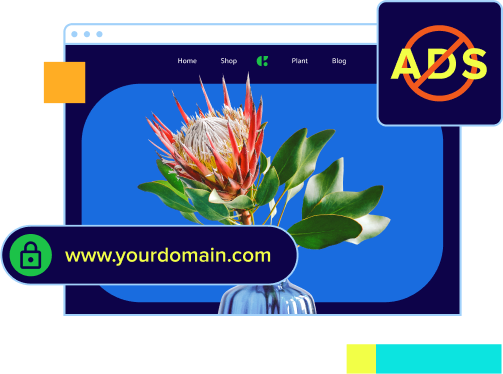 ad-free